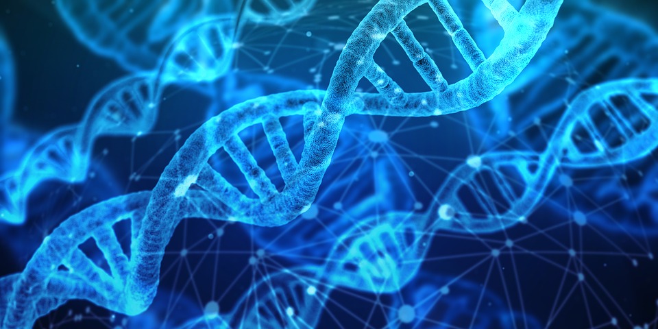 Researchers Realize Sync-tracking of DNA and RNA in Live Organisms (Image by pixabay.com).jpg