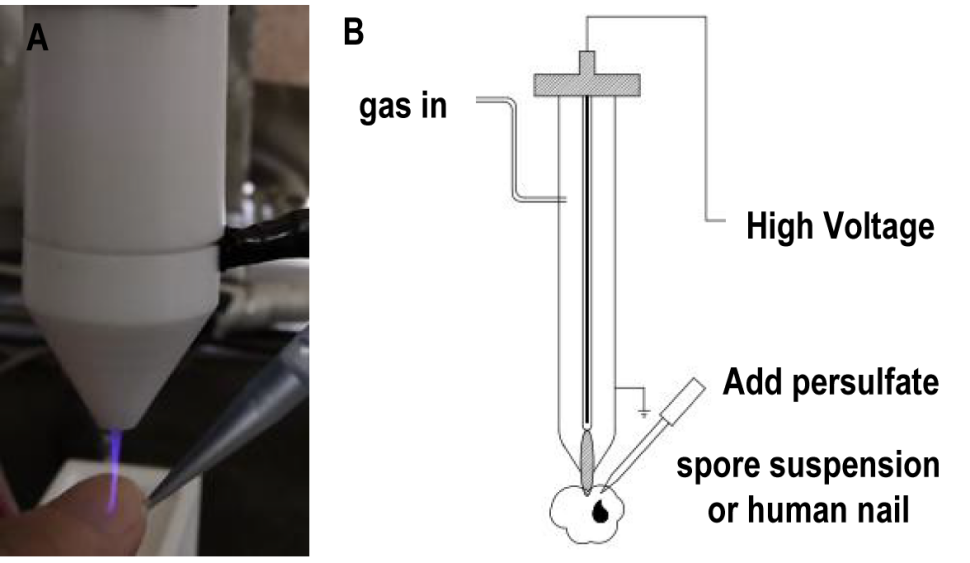 Approach Nail Fungus through Low-temperature Plasma Technology.png