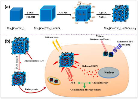 Schematic illustration of (a) the preparation of Mn3[Co(CN)6]2@SiO2@Ag and (b) the delivery process of these Dox-loaded Mn3[Co(CN)6]2@SiO2@Ag to A549 cells for enhanced fluorescence imaging