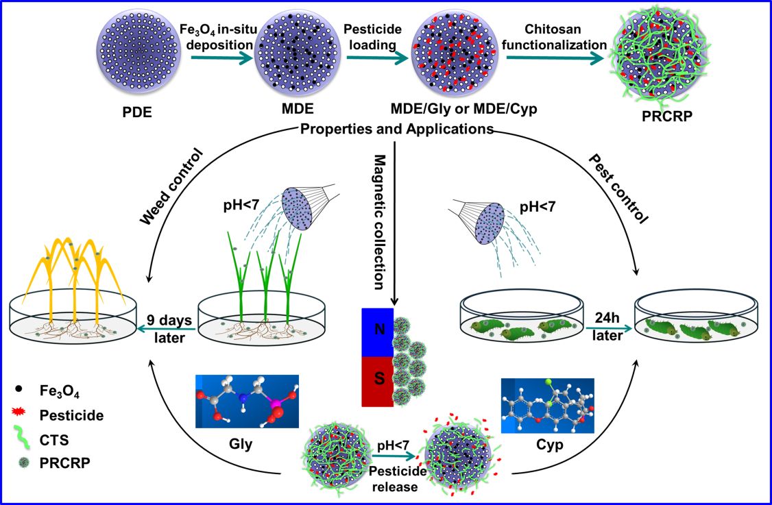 Schematic diagram for the fabrication and application of controllable nanopesticide system. (Image by Xiang Yubin).png
