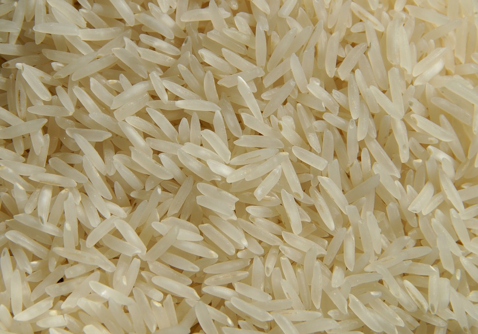 Differences of Cadmium Accumulation in Grain Between Rice Subspecies.jpg