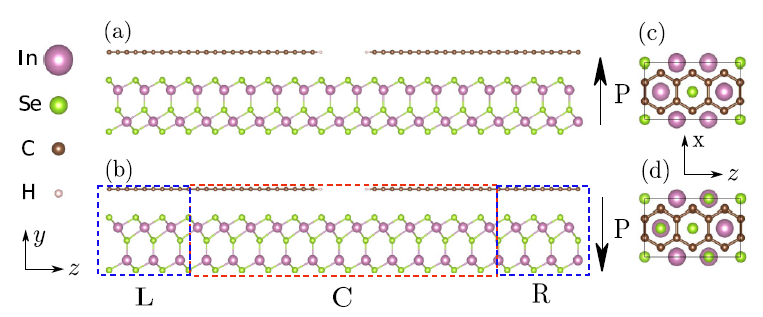 Giant tunneling electroresistance in two-dimensional ferroelectric tunnel junctions with out-of-plane ferroelectric polarization.png