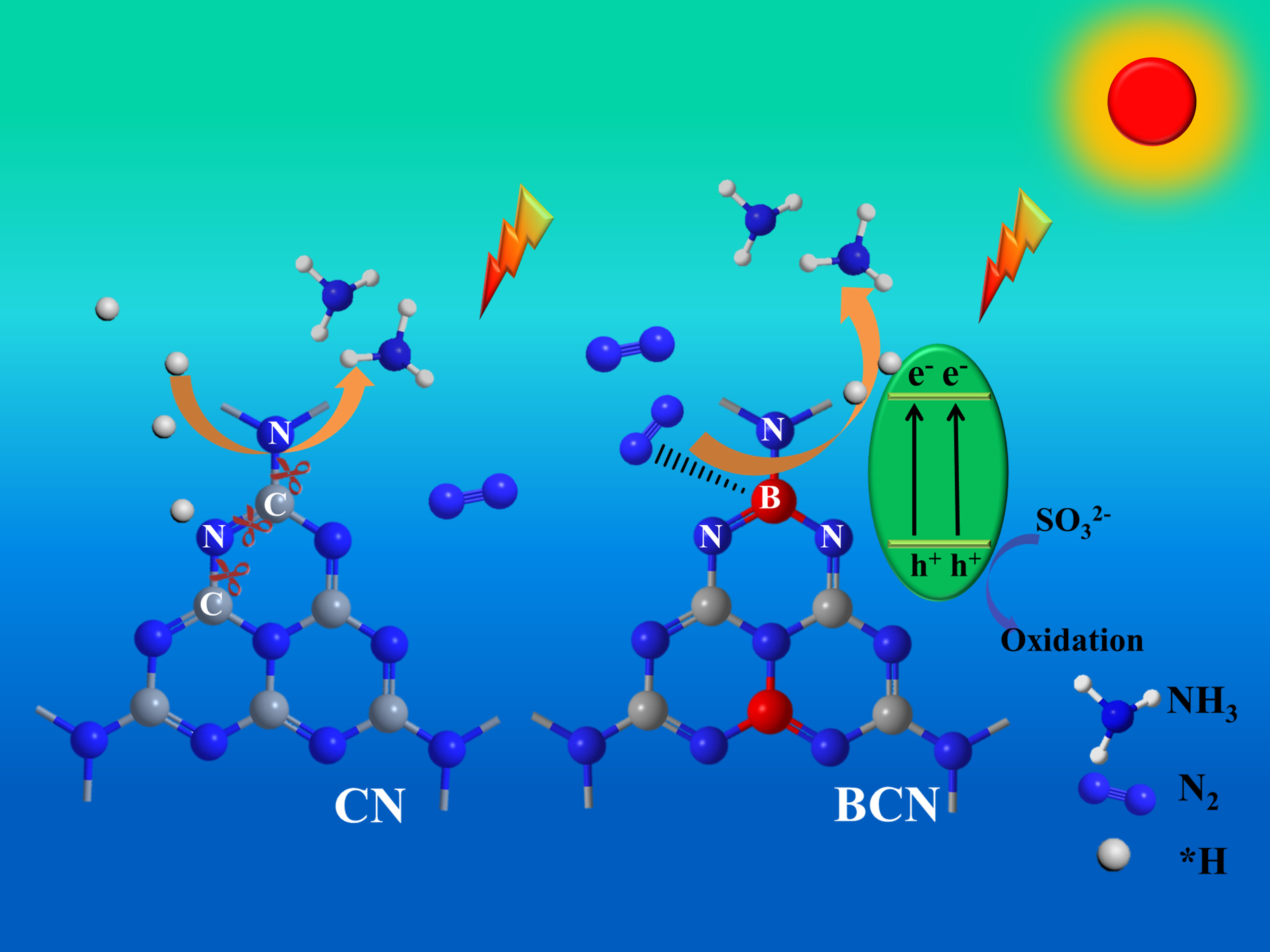 A New Strategy on Stabilizing Carbon Nitride Photocatalyst for Nitrogen Reduction.jpg