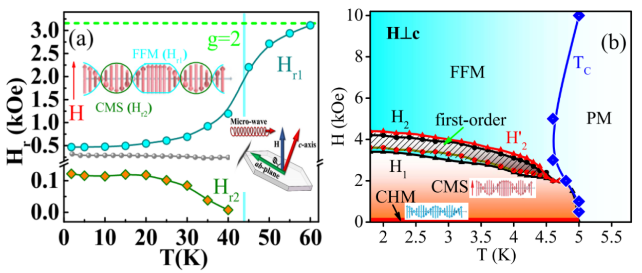 anisotropic microwave response and interactionsofChiral Magnetic Soliton