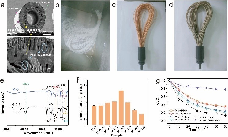 高性能触媒膜により医薬品廃水処理のコスト削減と効率向上（High-Performance Catalytic Membranes Slash Costs and Boost Efficiency in Pharmaceutical Wastewater Treatment）