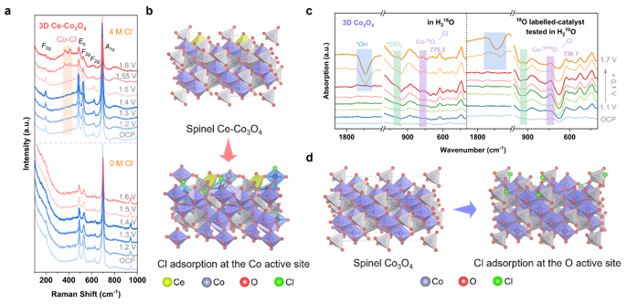 高効率かつ高耐久なクロールアルカリ電解用触媒の開発（Researchers Develop Highly Efficient, Durable Catalyst for Chlor-Alkali Electrolysis）