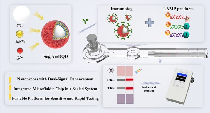 マイクロ流体チップ統合による迅速な現場病原体検出（Rapid On-Site Pathogen Detection Enabled by Integrated Microfluidic Chip）