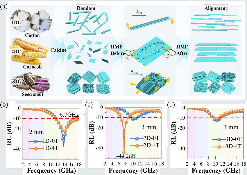 スピン‐フォノン結合が長距離磁気秩序なしで観測（Spin-Phonon Coupling Observed Without Long-Range Magnetic Order）
