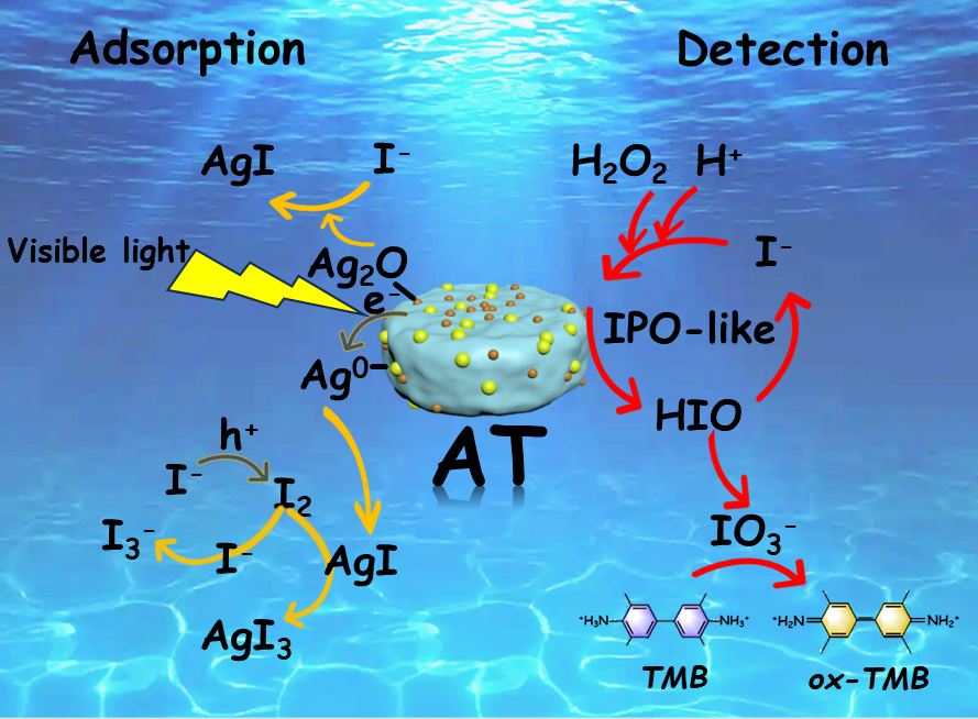水中の放射性ヨウ素の除去と検出を可能にする新ナノ複合材料（New Nanocomposite Enables Removal and Detection of Radioactive Iodine in Water）