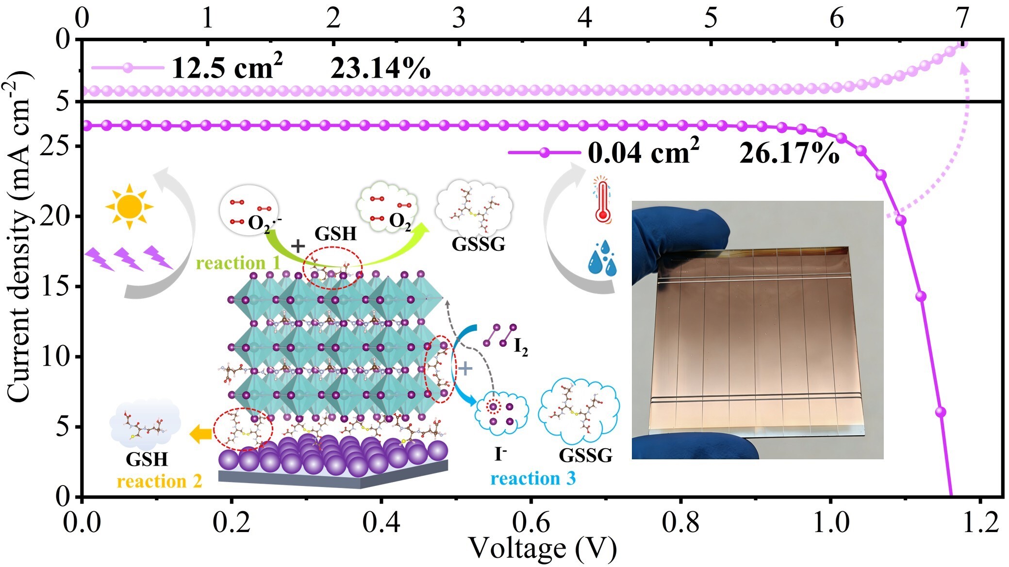ペロブスカイト太陽電池の効率と安定性を向上する新戦略（New Strategy Improves Efficiency and Stability of Perovskite Solar Cells）