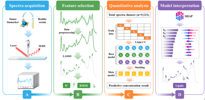 機械学習フレームワークにより高精度な血清腫瘍バイオマーカー検出を実現（Machine Learning Framework Improves High-Precision Serum Tumor Biomarker Detection）