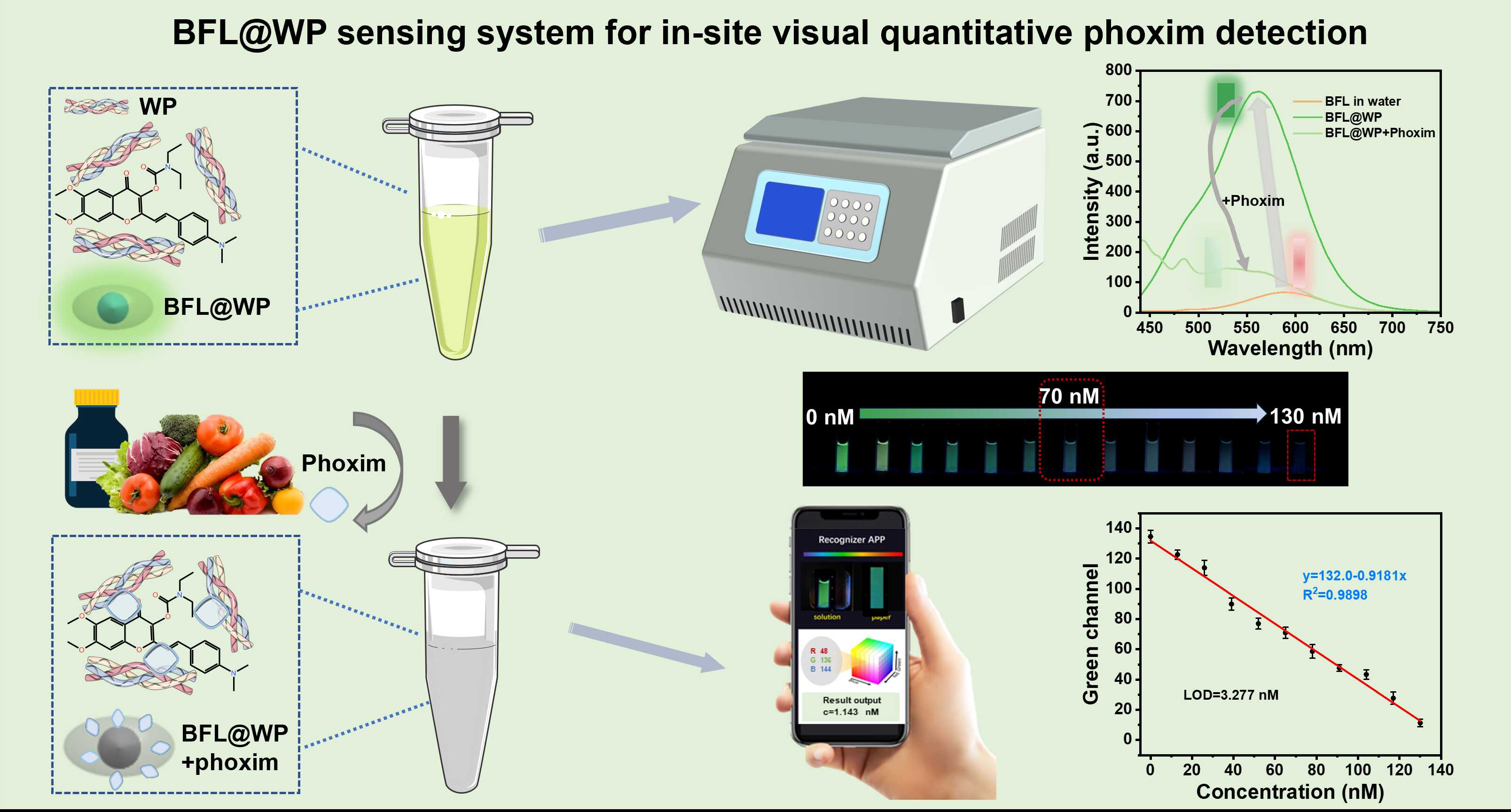 超分子蛍光センサーにより殺虫剤ホキシムを迅速目視検出 (Supramolecular Fluorescent Sensor Enables Rapid Visual Detection of Pesticide Phoxim)