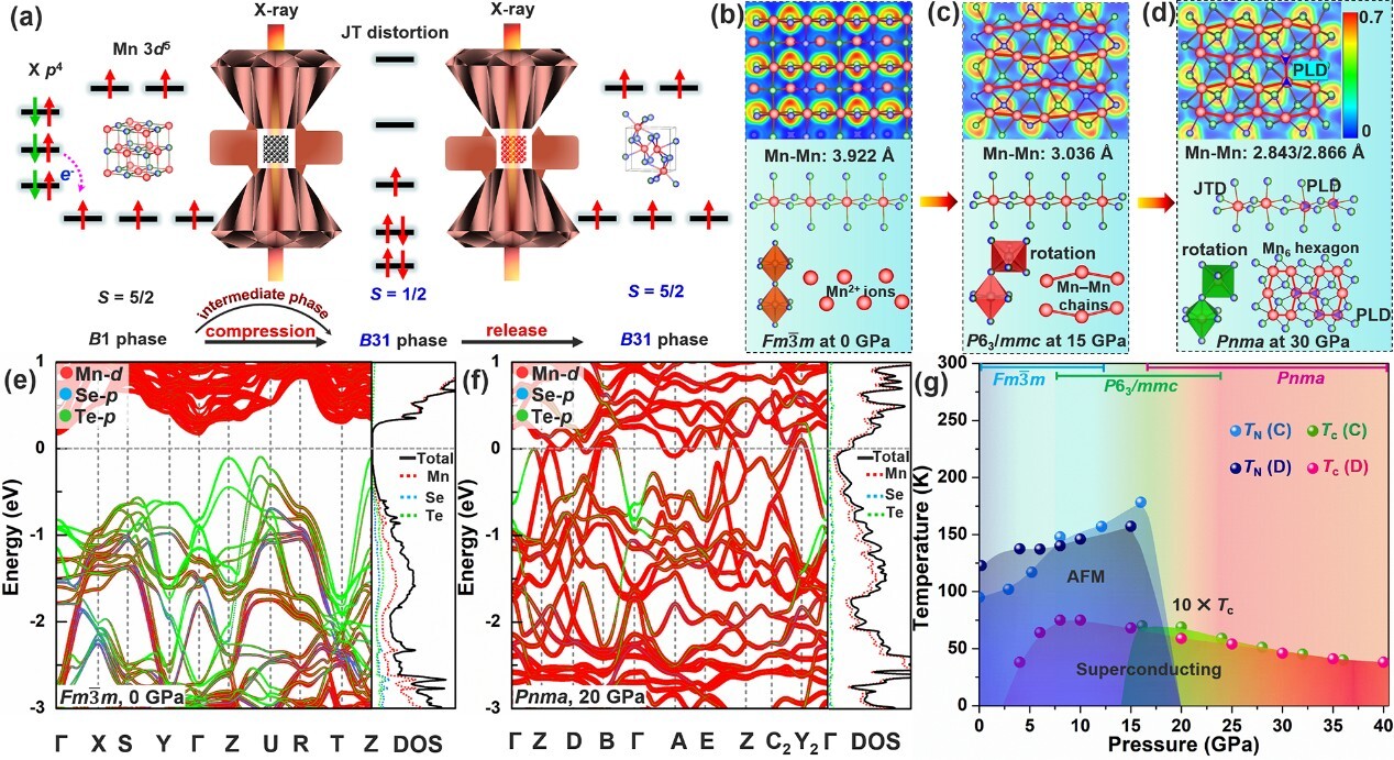 マンガンカルコゲナイド合金で高圧超伝導相を安定化（High-Pressure Superconductivity Phase Stabilized in Manganese Chalcogenide Alloy）