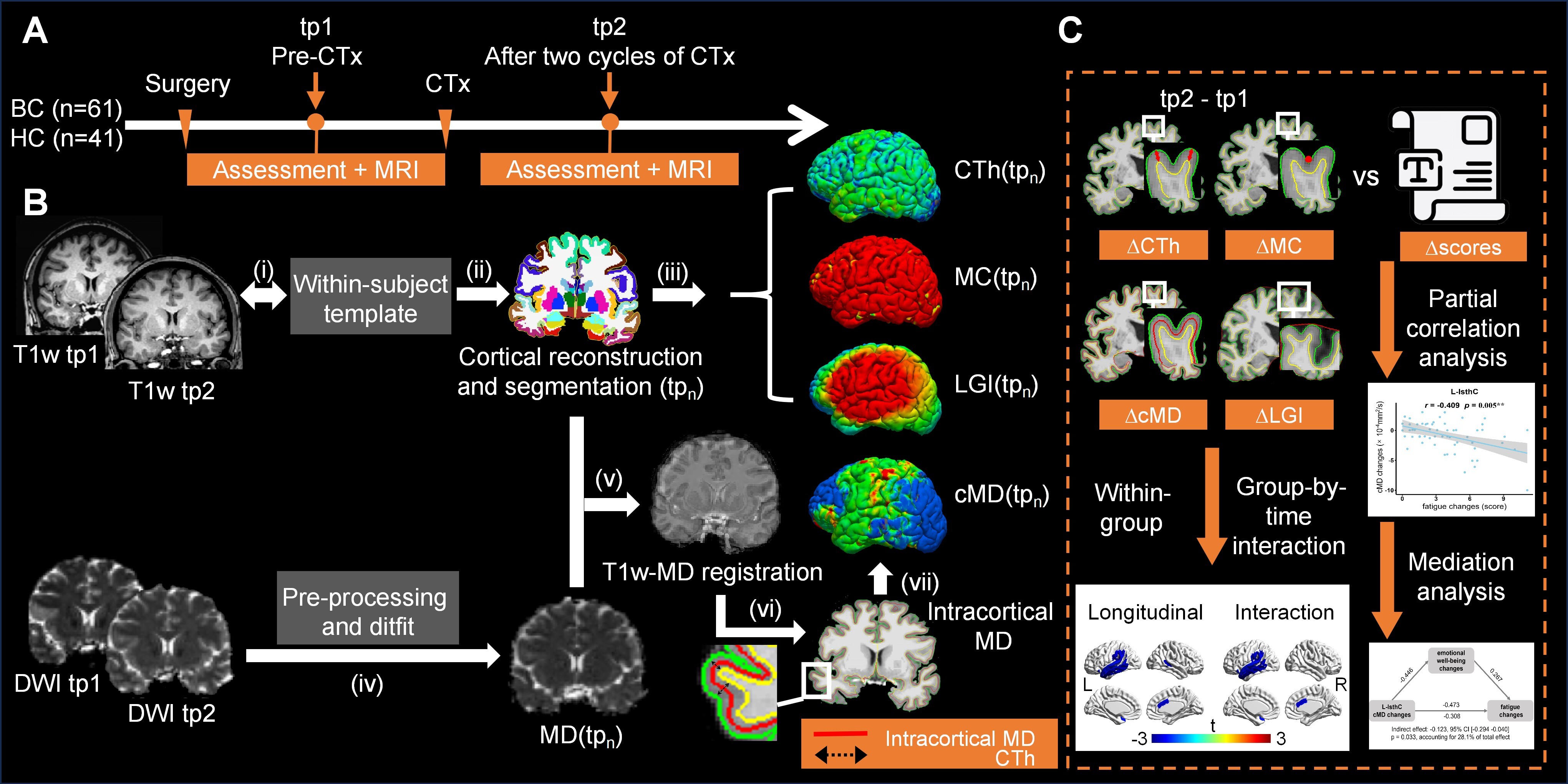 化学療法初期の疲労に関連する脳変化を解明（Brain Changes Linked to Fatigue Emerge Early During Chemotherapy）