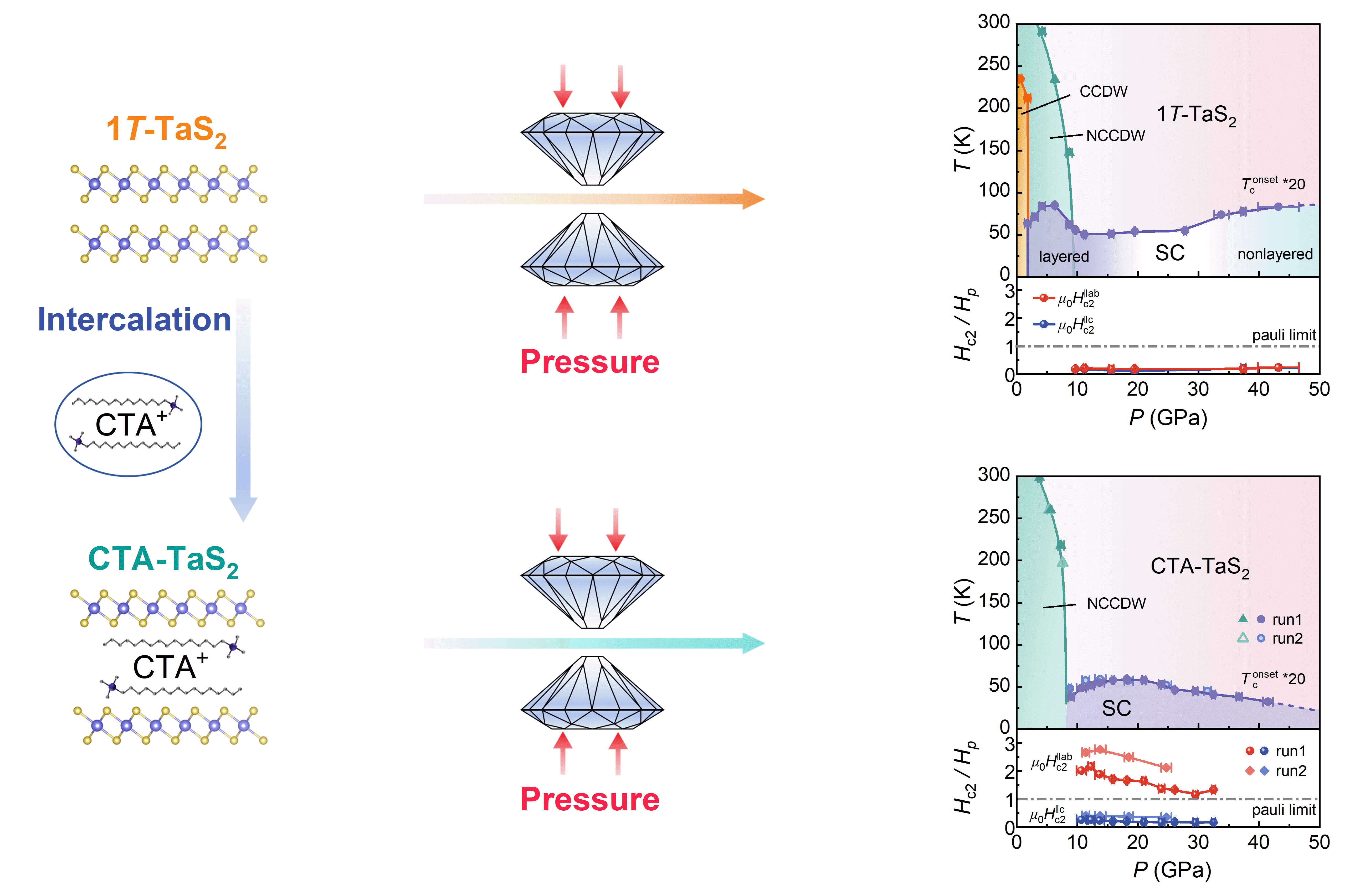 高圧力によって層状物質のイジング超伝導を実現（Pressure Unlocks Ising Superconductivity in Layered Material）